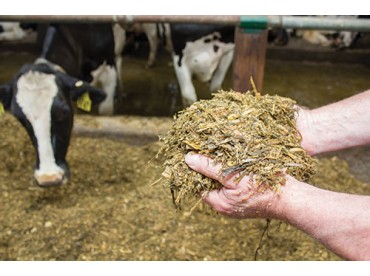 Những điều chú ý khi dùng men ủ.