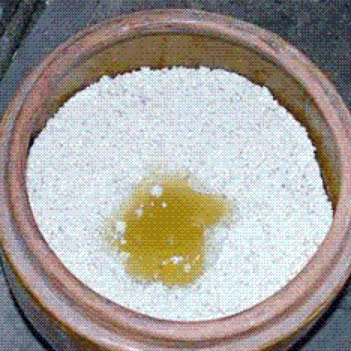 Nấm men - Nguồn dinh dưỡng quí trong chăn nuôi