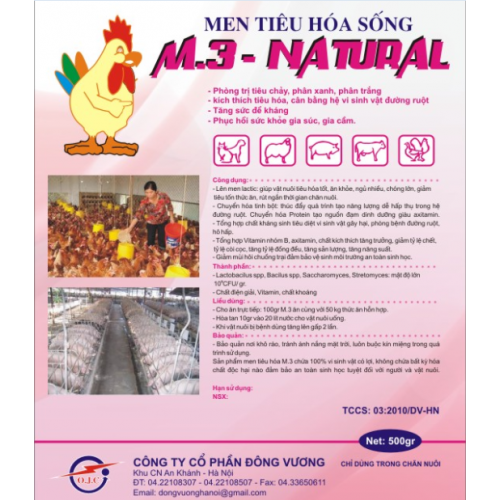 Men tiêu hóa sống