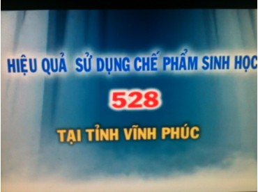 Chephamsinhhoc 528 sử dụng hiệu quả ở Vĩnh Phúc