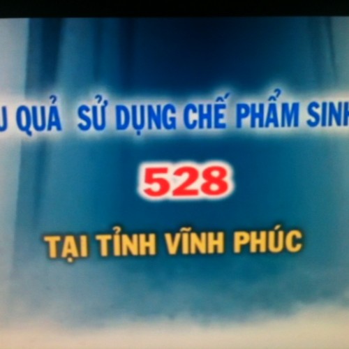 Chephamsinhhoc 528 sử dụng hiệu quả ở Vĩnh Phúc