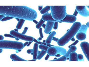 Dinh dưỡng của vi sinh vật