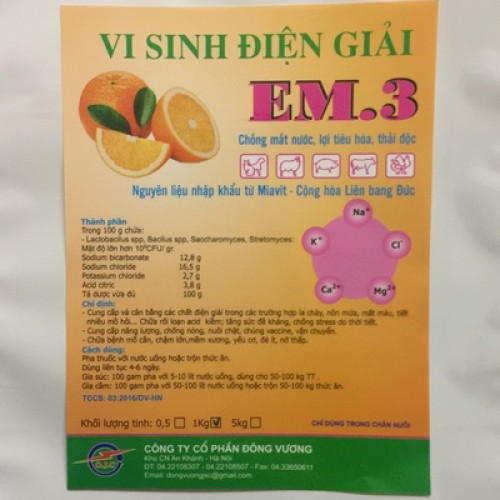 Điện giải vi sinh