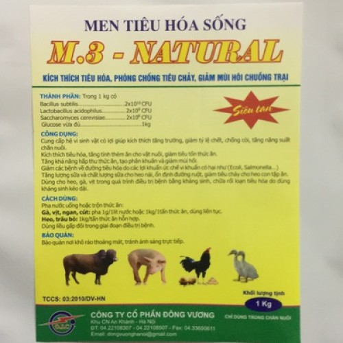 Men tiêu hóa M3